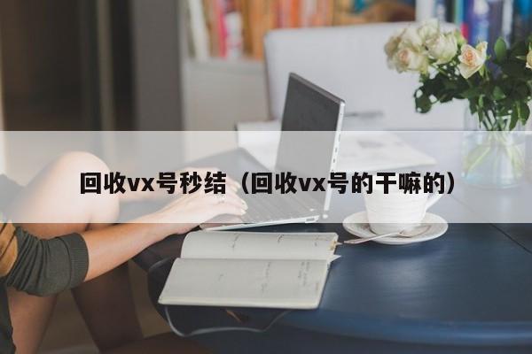 回收vx号秒结（回收vx号的干嘛的）